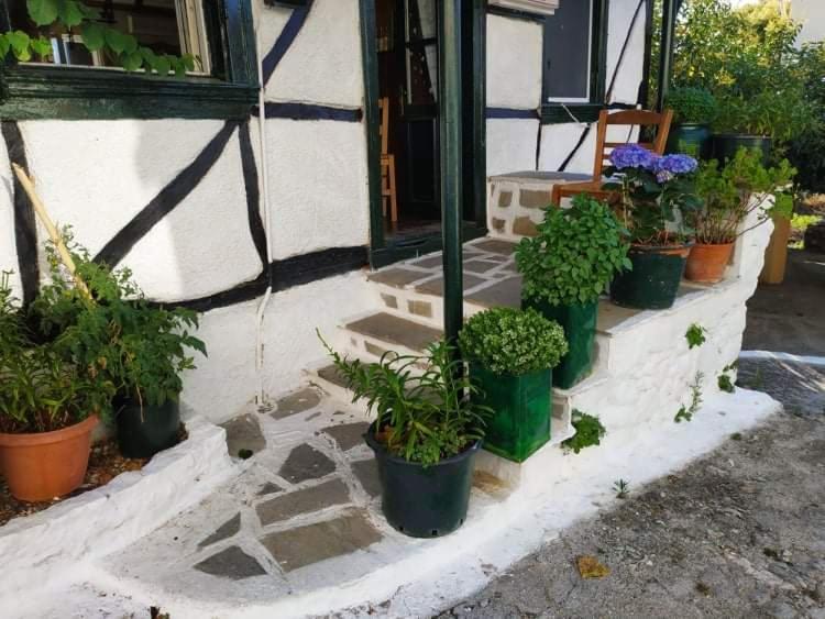 Lefkada Villas Panoramic Katouna Exterior photo